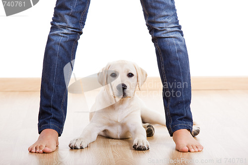 Image of Cute pupie under the legs