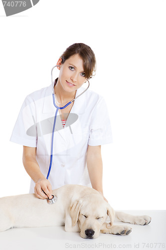 Image of Veterinay taking care of a dog