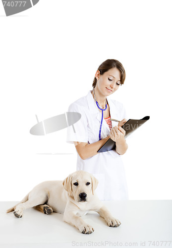 Image of Veterinay taking care of a dog