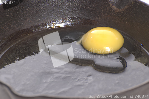 Image of Frying Egg