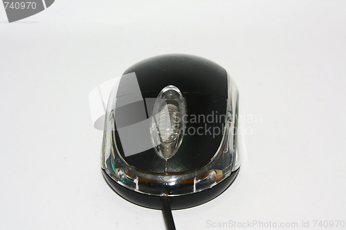 Image of Mouse
