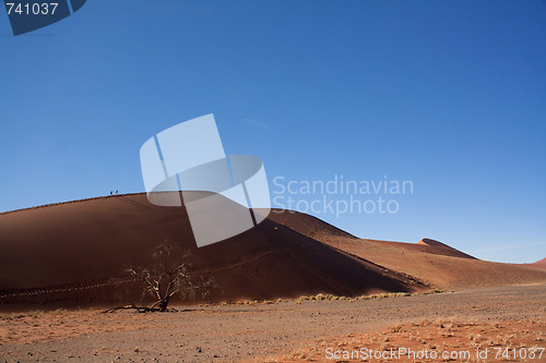 Image of red dunes of sossusvlei