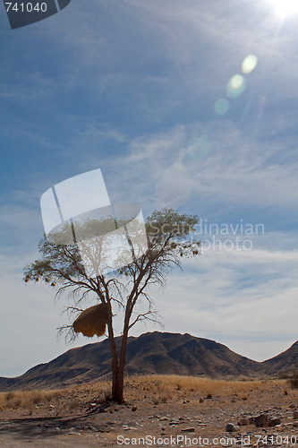 Image of Landscape in Namibia