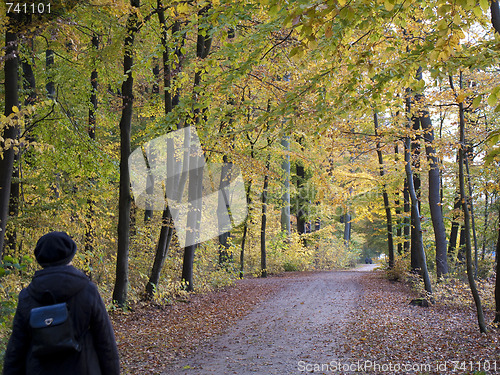 Image of Autumn walk