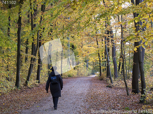 Image of Autumn walk