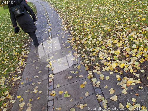 Image of Autumn walk