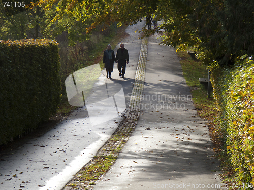 Image of Autumn walk
