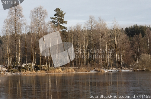 Image of Winter at the lake