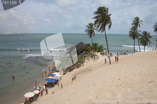 Image of Genipabu beach