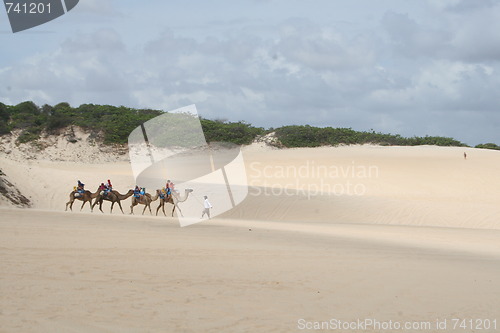 Image of Genipabu beach