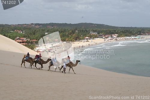 Image of Genipabu beach