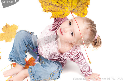 Image of Toddler with maple leaves