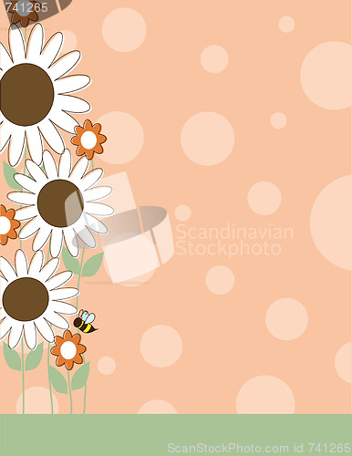 Image of Daisy Flower Border