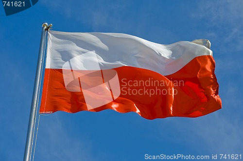 Image of polish flag