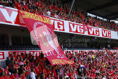 Image of You never walk alone.