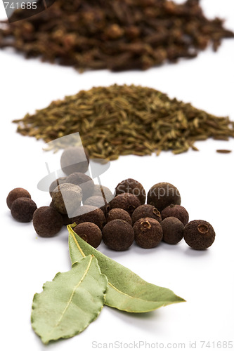 Image of bay leaves, cloves, caraway and black pepper