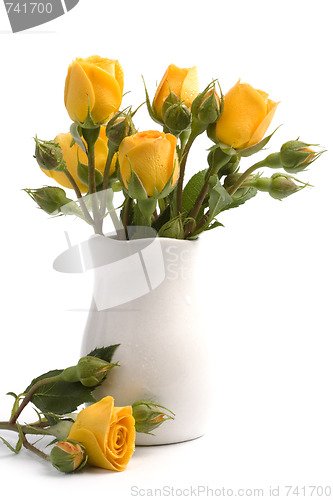 Image of yellow flowers