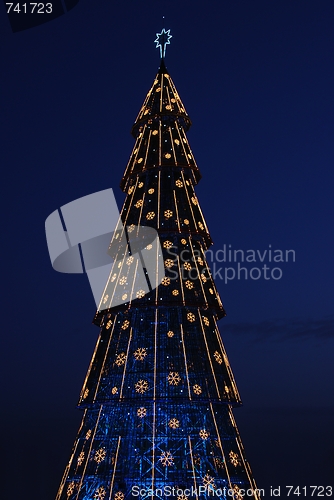 Image of Beautiful tall Christmas tree (at sunset)