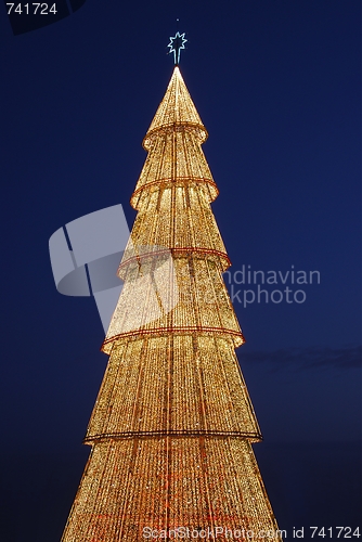 Image of Beautiful tall Christmas tree (at sunset)