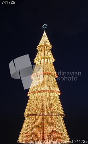Image of Beautiful tall Christmas tree (at sunset)