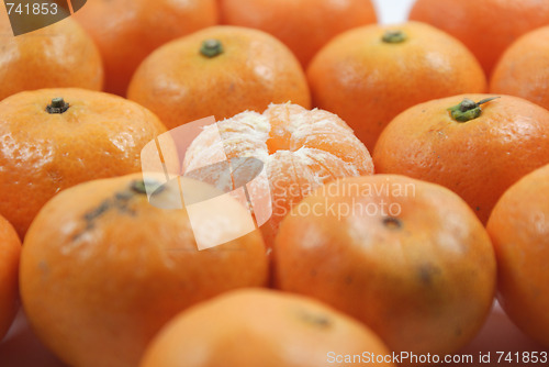 Image of THE ORANGE PILE BACKGROUND 