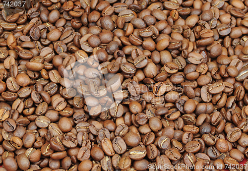 Image of coffee beans