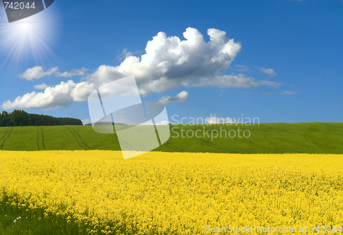 Image of spring landscape