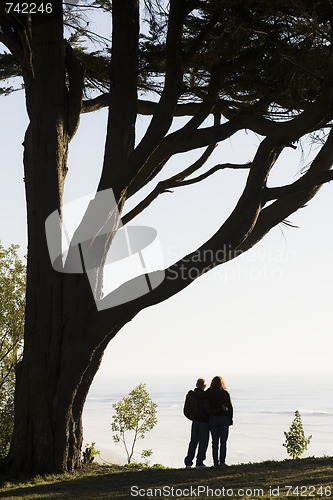 Image of Couple Overlooking Ocean