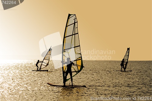 Image of Silhouettes of three windsurfers on waves of a gulf
