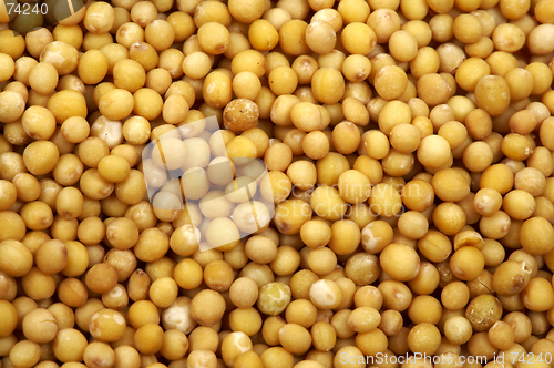 Image of Mustard seeds