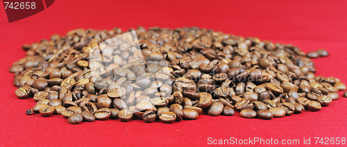 Image of coffee beans