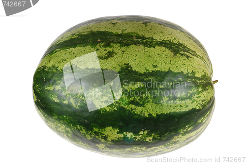 Image of  watermelon