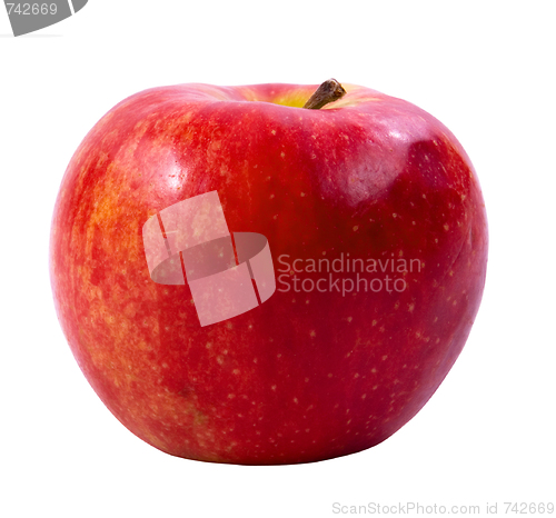 Image of Red apple(clipping path included)