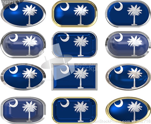 Image of 12 buttons of the Flag of South Carolina