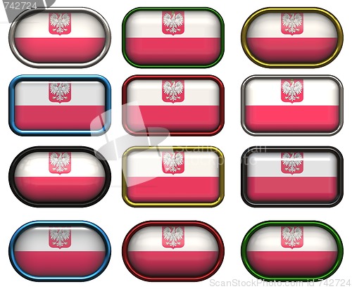 Image of 12 buttons of the Flag of Poland