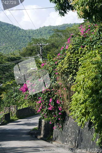 Image of street scene bequia