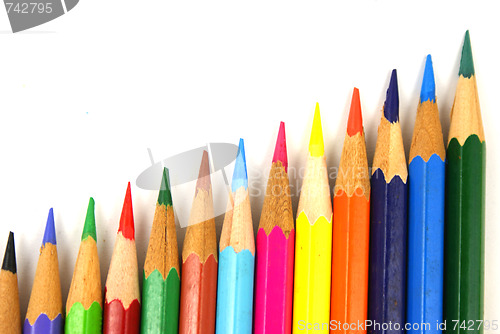 Image of color pencil grow up