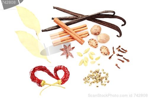 Image of spices