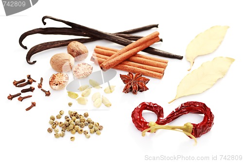 Image of spices