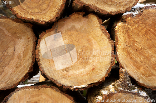 Image of Pile of logs