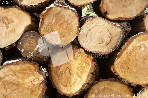 Image of Pile of logs