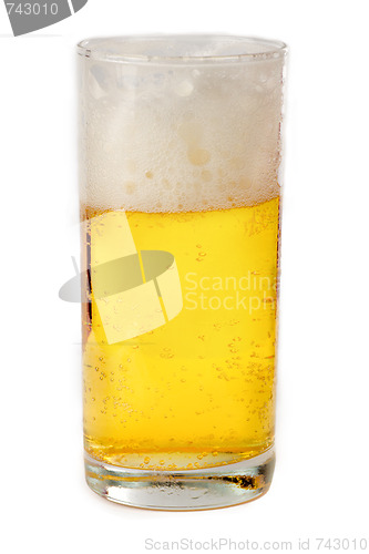 Image of Transparent glass of beer