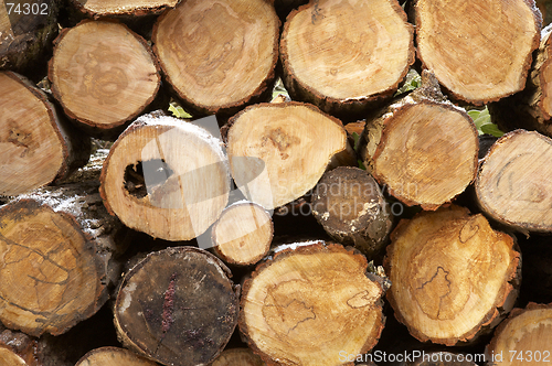 Image of Pile of logs