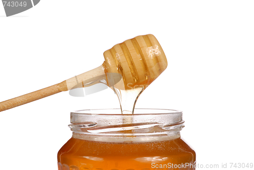 Image of Honey