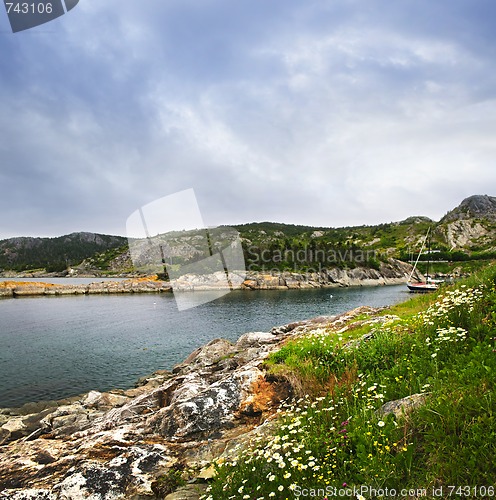 Image of Atlantic coast in Newfoundland