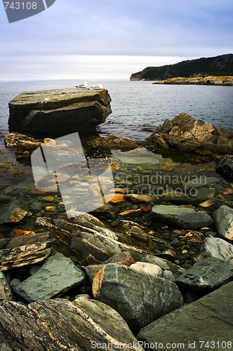 Image of Atlantic coast in Newfoundland