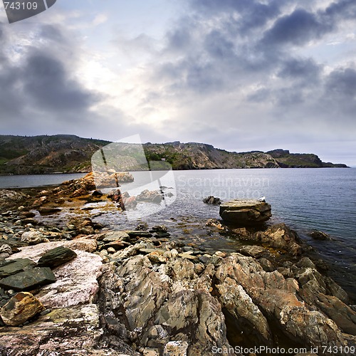 Image of Atlantic coast in Newfoundland