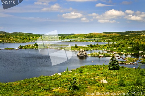 Image of Beautiful lake shore in Newfoundland