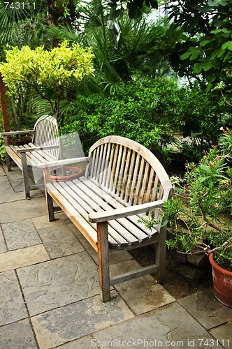 Image of Lush green garden