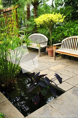 Image of Lush green garden